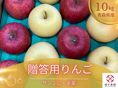 今が旬の青森りんご贈答用詰め合わせ！お歳暮・冬ギフトにも最適！約10kg  熨斗対応可能！真っ赤なサンふじと縁起物の美しい黄色の金星です！