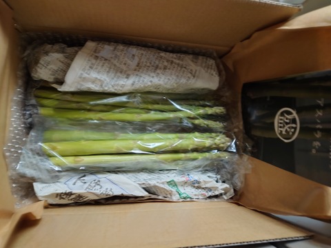 【受賞記念特別価格🎊】【やや太め500g】那須塩原産アスパラ｜じゅわっと感じる奥深い甘み！｜Lサイズ｜特別価格は5/20まで！