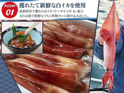 白イカ(ケンサキイカ)の沖漬け150gのお得な4個セット！島根県沖で獲れた新鮮なイカを特製タレにつけた逸品