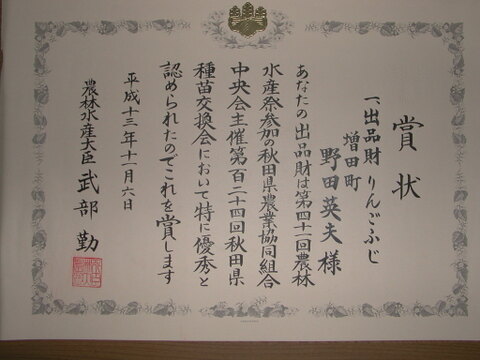 秋田の名誉ある賞受賞農家から　シナノゴールド3キロ　12～9玉