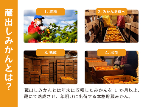 【敬老の日ギフト】蔵出しみかんゼリー8個ギフト