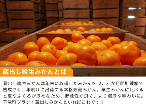 蔵出しみかん晩生5kg｜日本農業遺産認定の和歌山県海南市下津町の特産品