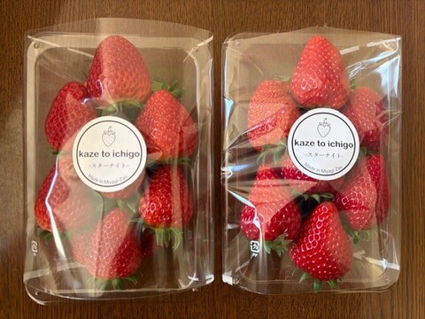【特Aスターナイト】宮城蔵王産 いちご 250g×4P