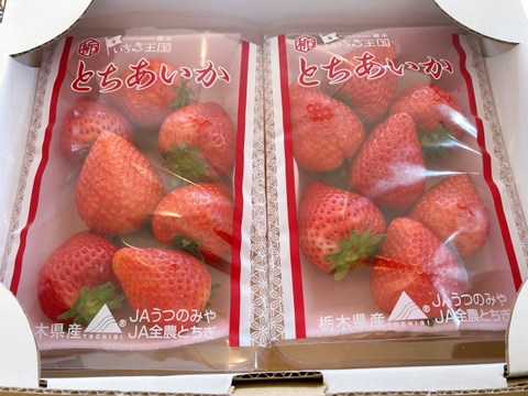 シャキッと歯応え！ジュワ～と果汁！完熟とちあいか！厳選大粒パック！今話題の甘さが際立つ品種です！290g×2パック