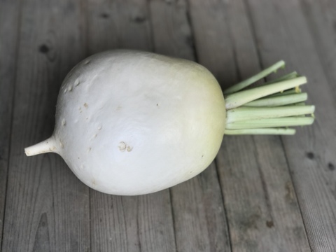 【食べ比べ】京の冬野菜セット2026【漢方栽培】