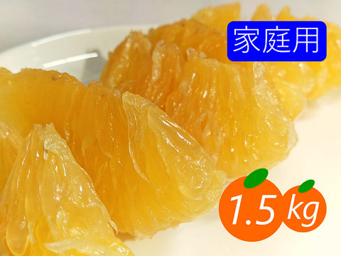 【家庭用】河内晩柑 1.5kg 爽快！！和製グレープフルーツ♡