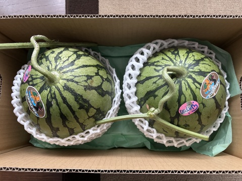 父の日ギフト】【夏ギフト】 小玉スイカ2玉入1箱：熊本県産のひとりじ