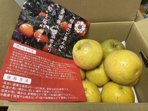 【家庭用】河内晩柑 4kg 爽快！！和製グレープフルーツ♡