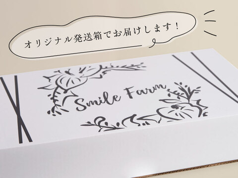 インパクトのあるビッグサイズ！
アンスリウムおすすめミックス（5~6本）