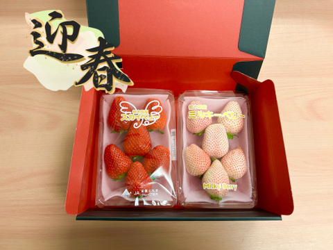 【ゲン担ぎ福袋】年越し・迎春用『紅白セット』フレーズのこだわりいちご(縁起物)