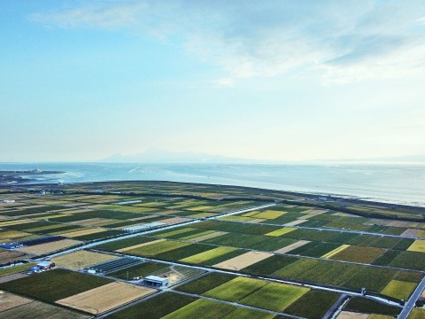 【令和7年新米コシヒカリ】杏里ファームのお米10㎏