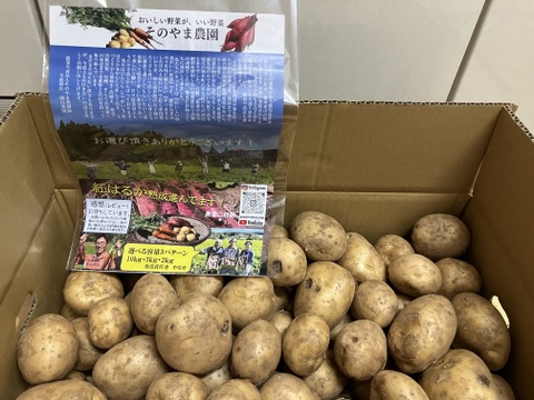 【値下げ】糖度の上がった寝かせじゃがいもスタート！おいしいと定評のある　じゃがいも　ニシユタカ　10ｋｇ　訳あり　2025年春産　訳ありたくさん出てお安めで　洗ってお届け　有機JAS　そのやま農園