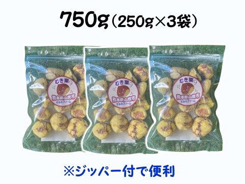 ほっこり濃厚！粗むき栗（冷凍） 750ｇ（フリーザーパック250g×3袋）