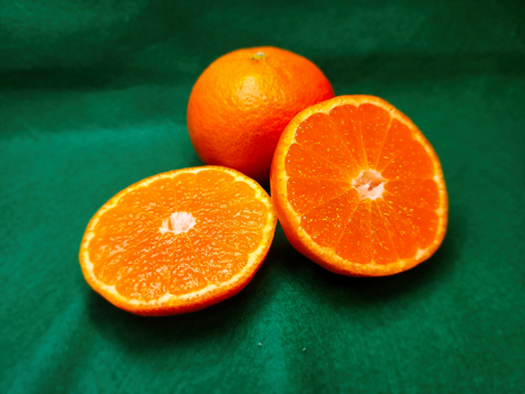 箱込約1㌔　完熟由良早生　MS中心