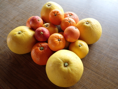 【柑橘詰め合わせ】見た目が悪くても農薬は使わんモン！【4kg以上】【農家のワガママ驚愕】
