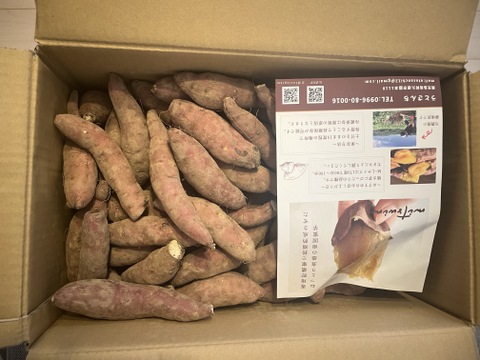 【訳あり】紅はるかSサイズ／10kg