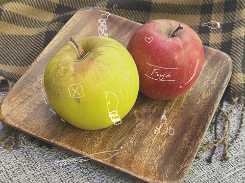 【極じゅわ甘💕】お手軽サイズ！訳ありサンふじりんご🍎3kg【スーパームーンりんご1個付き】