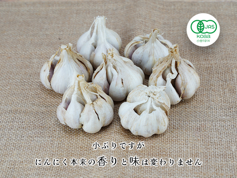 【熊本県産】 有機にんにく王（無選別１㎏入)