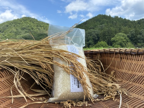 ❣️🫶超特別栽培令和6年産米2kg 極大粒“米王”‼️甘くてモチモチ、香りの良い能勢天神米「いのちの一粒」（品種名:いのちの壱）白米。《真空パック》保存クリップ付き❗️