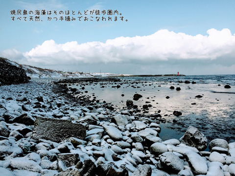 抜群の風味！焼尻島天然手摘み『岩のり　バラ干し』14g×2袋