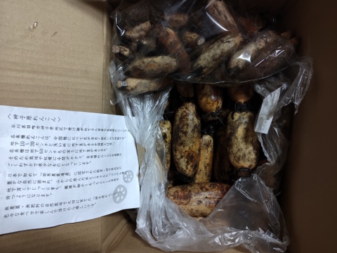 【自然栽培・在来種】神子原れんこん(中)4kg