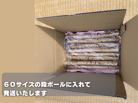 【使い切りサイズ】風味豊かな洗いごぼう500g｜サラダ・きんぴらに最適