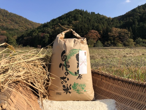 【令和4年産特別栽培米・白米10kg】
超大粒“米王”‼️甘くてモチモチ、香りの良い能勢天神米。
