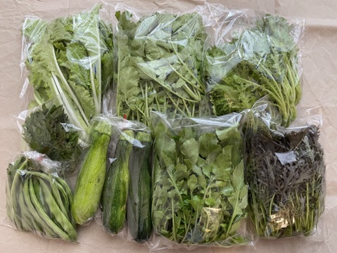 【自然栽培】高原の野菜セットS（7〜8品目）