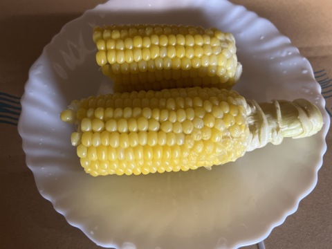 とうもろこし　群馬県東吾妻町産　12本