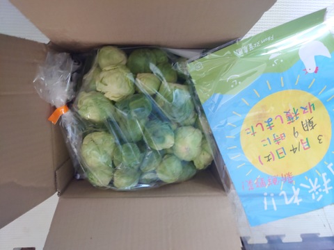 【たぶん30％増量(^^♪】キャベツの代わりに
”双葉農園の真冬の芽キャベツ”（900g →1200g

2〜4名様分）from 名水の里　神奈川県秦野市