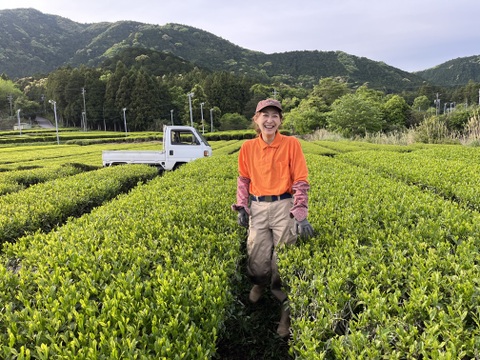 有機栽培25年以上　オーガニック　一番茶のほうじ茶　ティーバッグ　4g×30個入り　癖になる豊かな香りと甘味の深煎りほうじ茶　家庭用　徳用サイズ 度会茶　伊勢茶　三重県