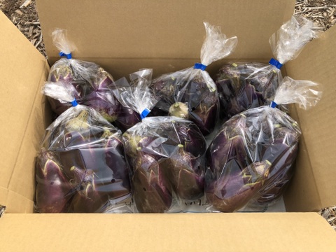 農薬・化学肥料不使用 水なす (泉州絹川水茄子)(3kg)(500g×6袋)瑞々しく生で食べられます！