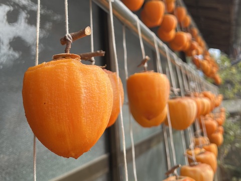 求む！干し柿チャレンジャー【甲州百匁柿10個+あんぽ柿２ケ】干し紐・ガイド付き（受付11月25日迄）