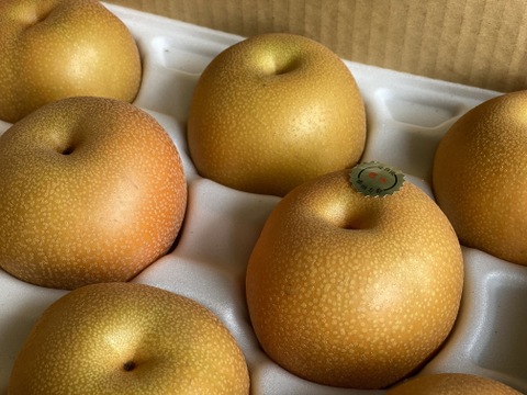 愛情たっぷり【豊水梨】箱込み2ｋｇ（5～6個）本州の方限定