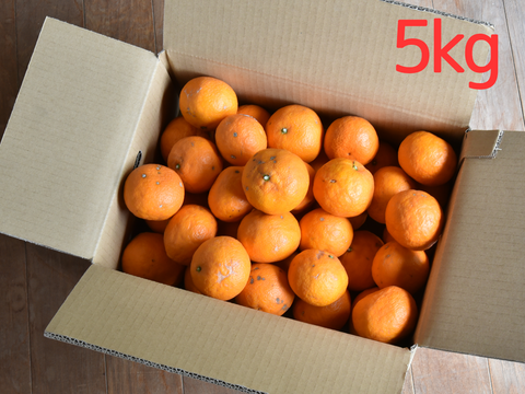 コクのある味わい　カラマンダリン【家庭用(訳あり)】[5kg]　326-3