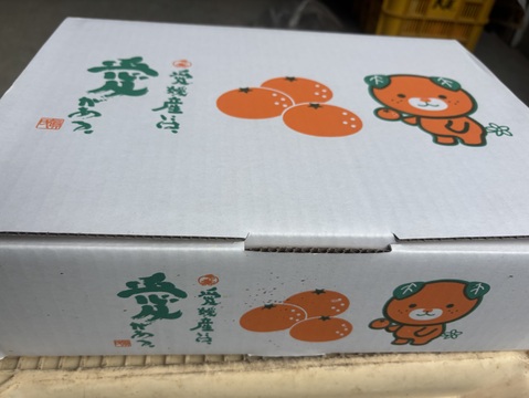 【味に自信あり　化粧箱大　まどんな　 愛媛県産　ゼリーのような食感　愛果28号　除草剤使用無 万田酵素散布】