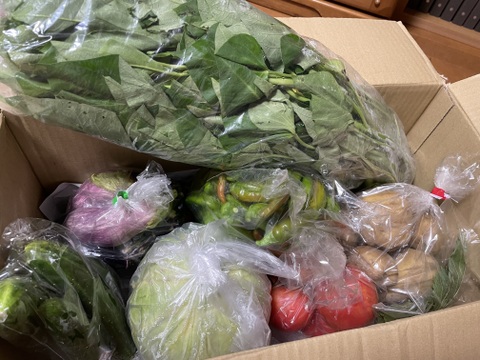 ＼(^o^)／＼(^o^)／🉐🉐🉐🉐🉐お得なＢ級品野菜（大）🥕❗❗お届け日不明【お得な食卓応援セレクト❗❗】相撲部屋行き🏆ばぁばのモノスゴイ野菜🍙✨✨✨