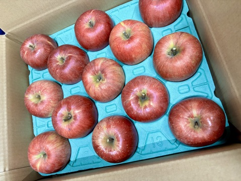 【シナノスイート】5kg(13〜20玉)入り🍎完熟りんご