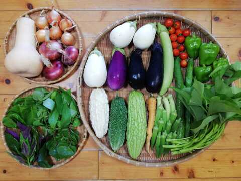 【農薬化学肥料不使用】バターナッツカボチャ入り野菜セット【８種類以上の野菜】【あわせ買い可】【熨斗(のし)対応可】【８０サイズ箱】