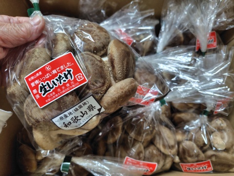 4㎏業務用！菌床生しいたけ　小さくても美味しい（４kg）