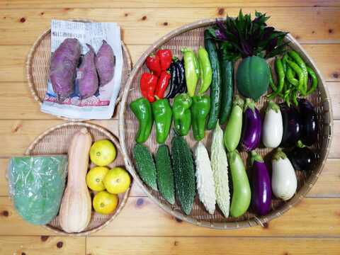 【農薬化学肥料不使用】ミカン入り野菜セット【８種類以上の野菜】【金曜日発送】【熨斗(のし)対応可】【８０サイズ箱】