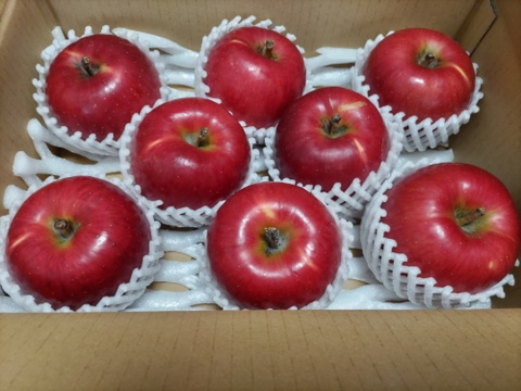 秋田生まれのりんご　今食べごろ　　ゆめあかり　3キロ8～9玉