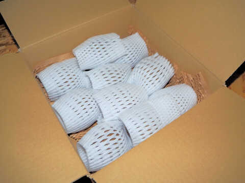 「アップルキウイ」甘い！黄色果肉種　1kg