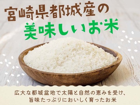 【味に自信あり：白米】旨味たっぷり！都城盆地米ヒノヒカリ　5kg
