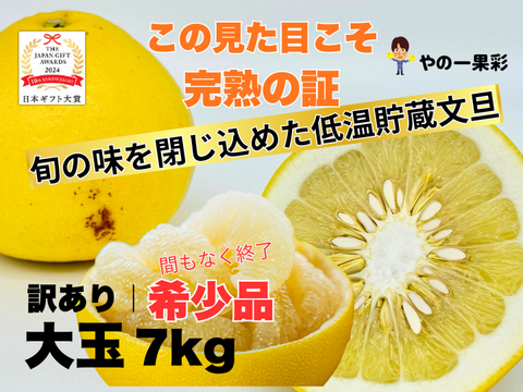 【完熟の証】低温貯蔵 土佐文旦 訳あり大玉7kg｜風味が際立つ食べ頃・日本ギフト大賞受賞・文旦発祥の地 ・高知県土佐市産 ・やの一果彩
