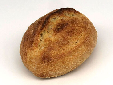 全部有機！パンセット⑮：麦の栽培から一貫生産　自然栽培有機小麦のみ使用した小さな有機フランスパンセット