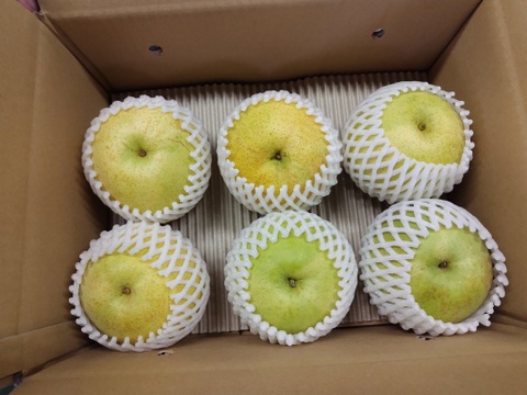 【大玉＋特大】かおり 3kg (6玉入)《少しだけお手頃価格》