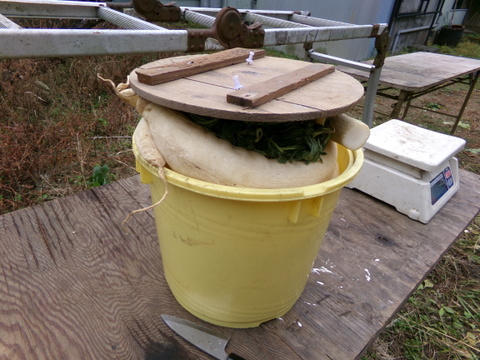 【　沢庵 　小さい樽　】沢庵5本前後、重さ5キロ以下　農薬不使用の大根をぬか、塩、砂糖少々で漬ける