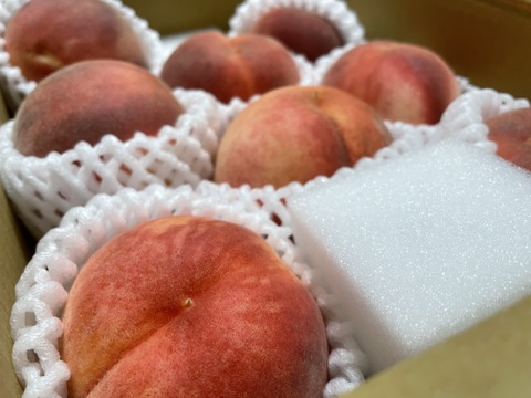 【数量限定お試し価格】桃 品種おまかせ　ご家庭用(訳あり品)  2kg