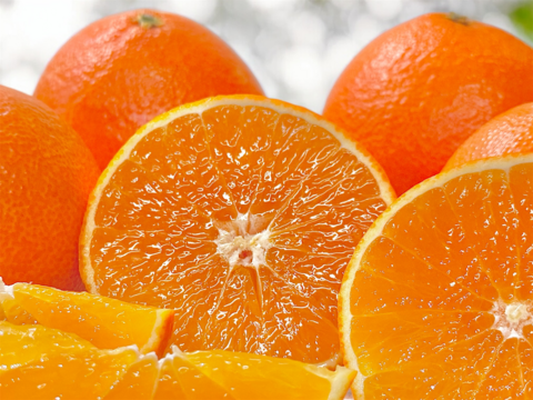 【贈答用】完熟ハウス 福まどんな《秀品 5kg》｜愛媛・西宇和産【冬ギフト】